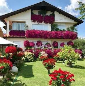 Meet your Posher, Tomas